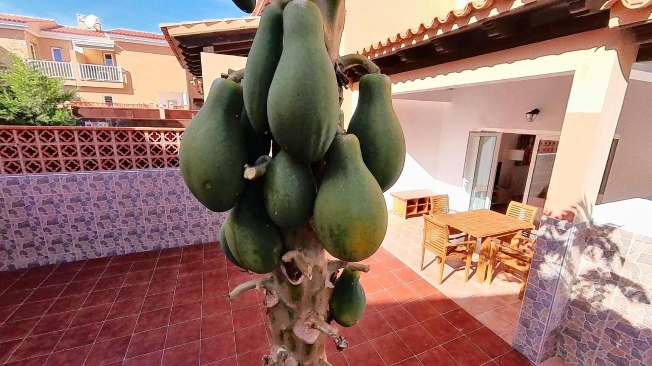 La Casa De La Papaya, By Comfortable Luxury Κοραλέχο Εξωτερικό φωτογραφία